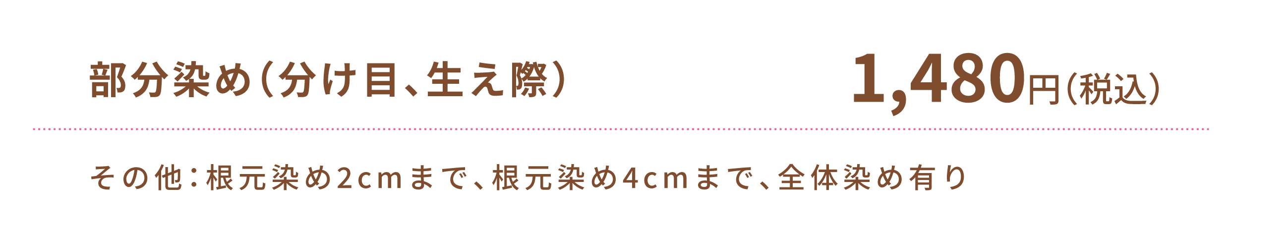 部分染め（分け目、生え際1,480円）